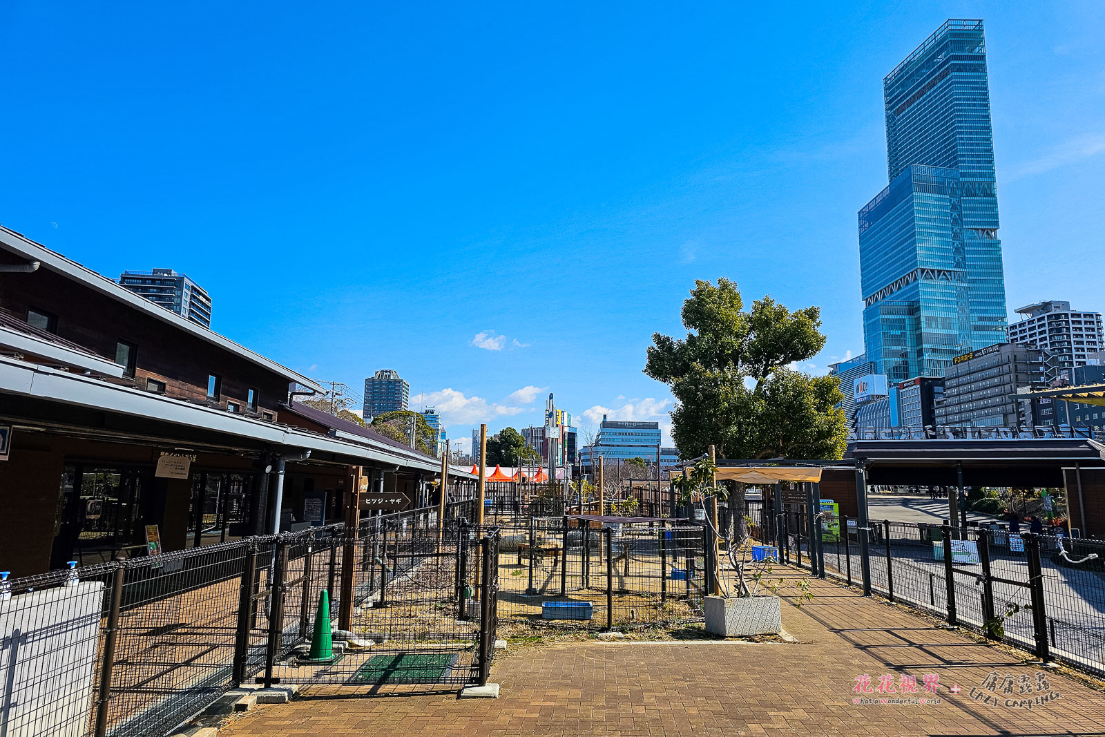 到動物園的後門了,右邊大棟高聳的大樓是「阿倍野Harukas 300」
