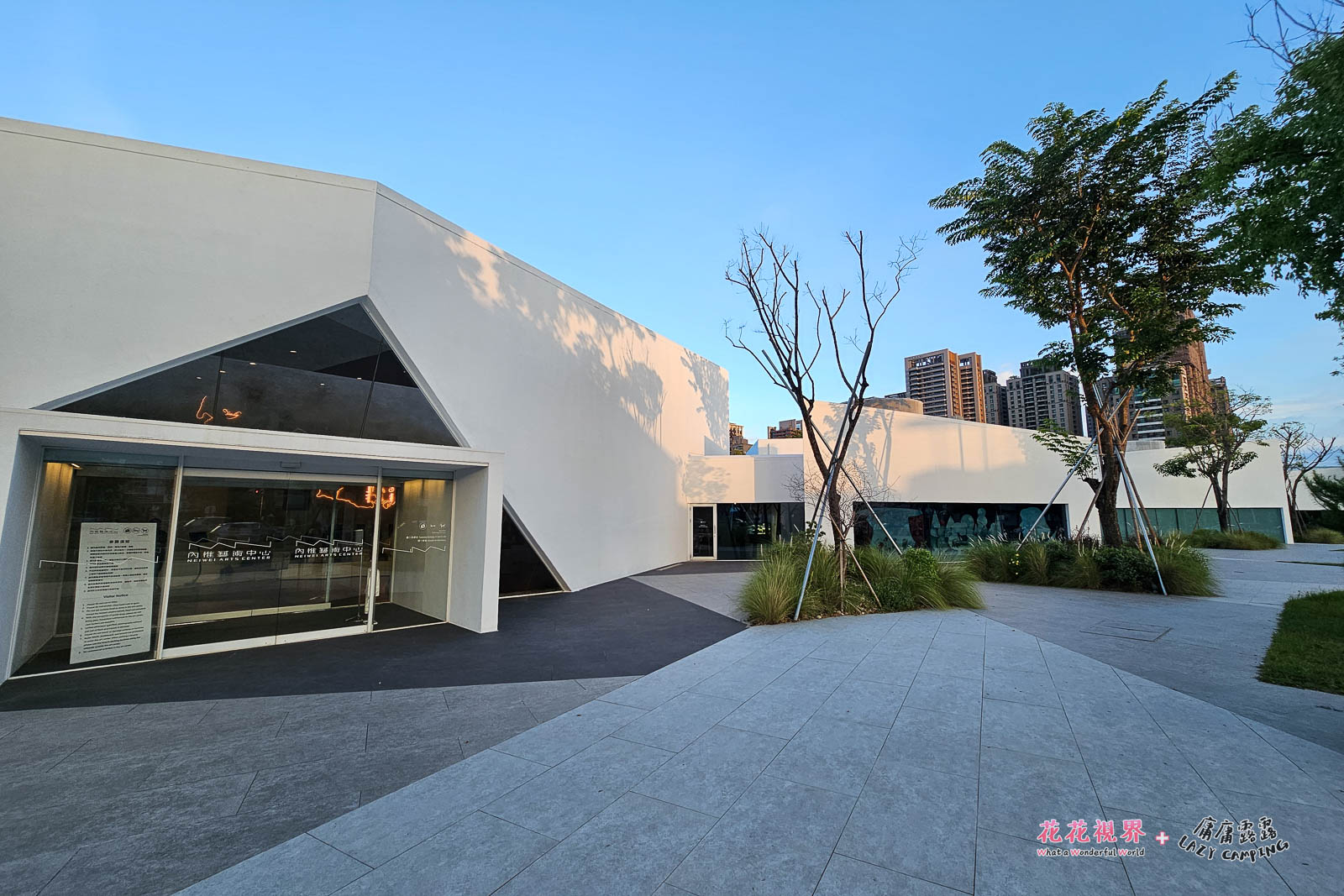 樹影映在白牆之上,像是一幅靜默繪出城市輪廓的風景畫。