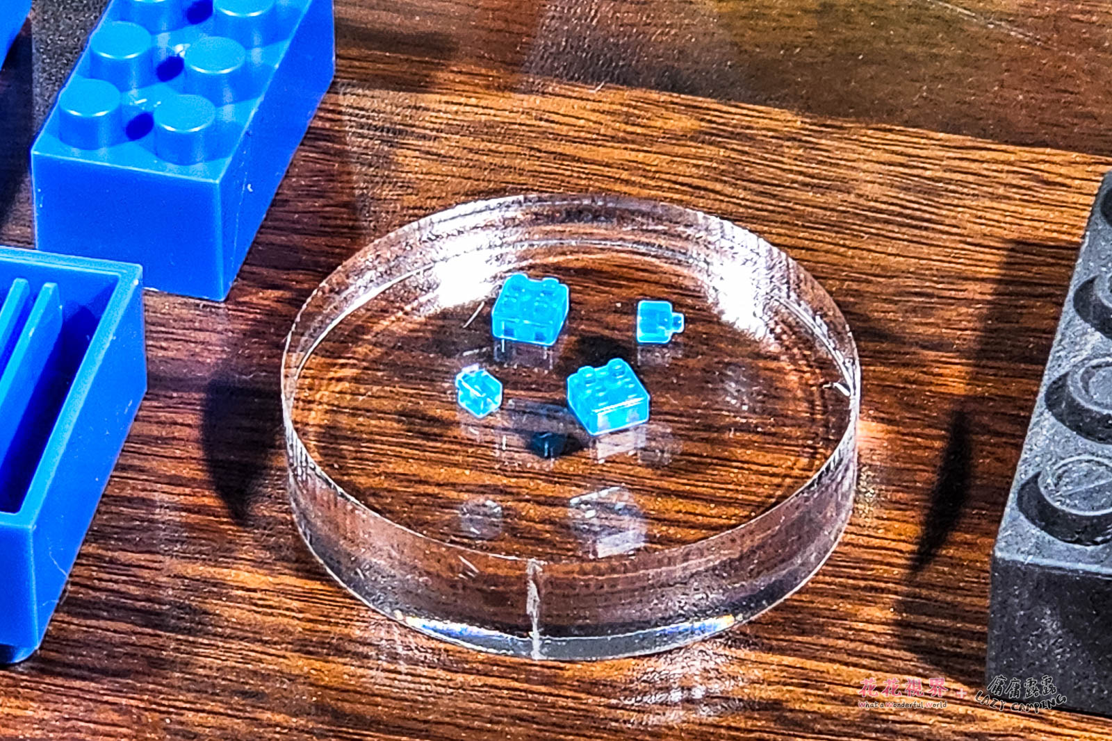 這個是世界上最小的積木,旁邊正常的積木尺寸可以對照。