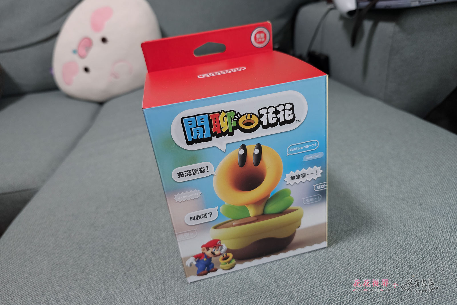 包裝盒正面。