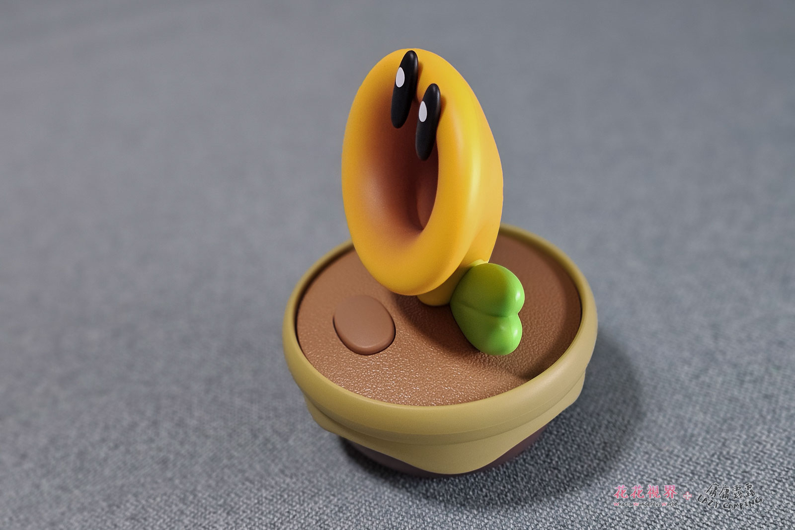閒聊花花側面。