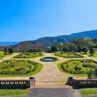 穿過森林來到異國：宜蘭仁山植物園