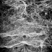 展覽｜托馬斯．薩拉切諾：共織宇宙