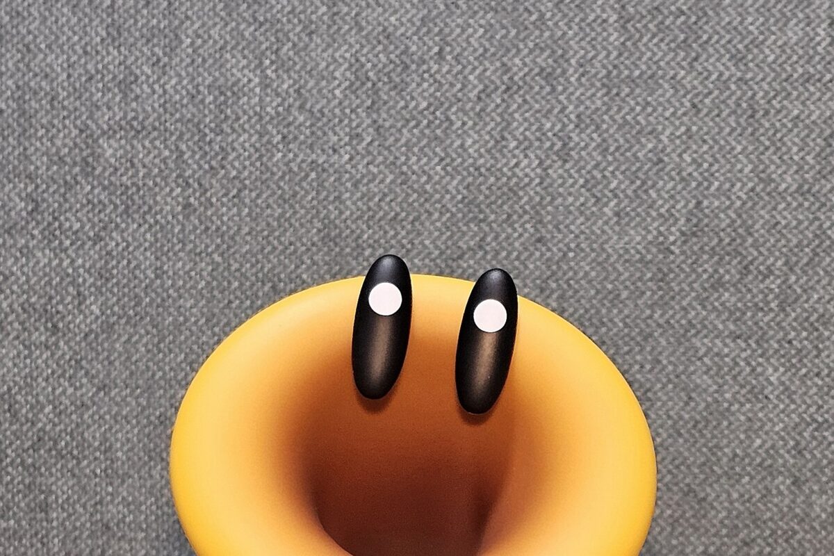 diary image