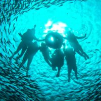 薄荷島｜巴里卡薩島、納帕林礁浮潛